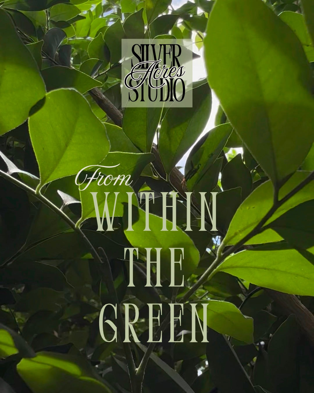 From Within The Green Collection