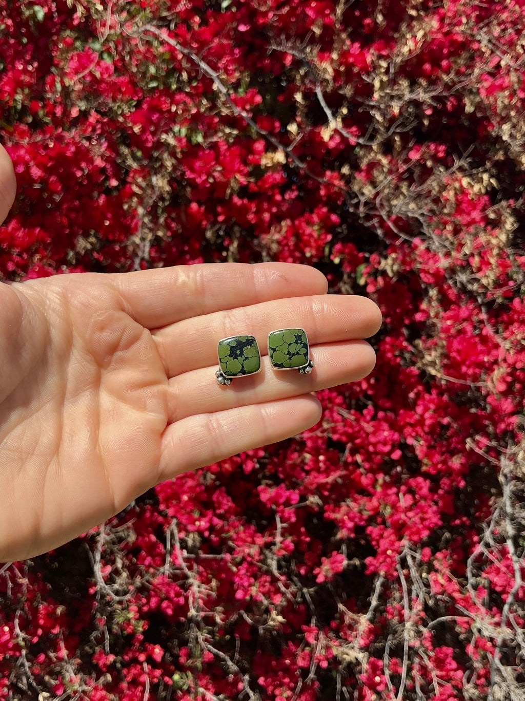 The Evergreen Studs