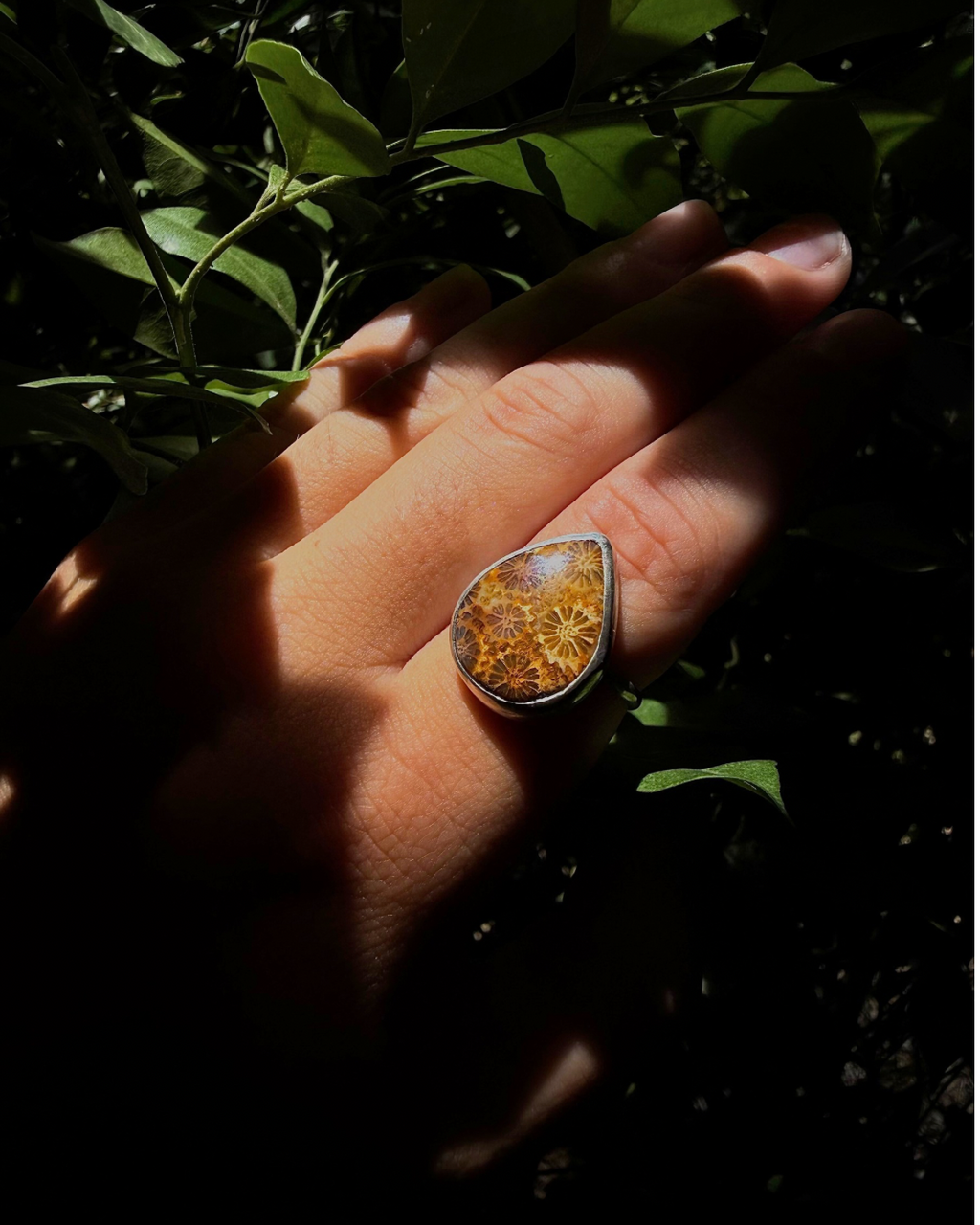 Reef Beneath Ring