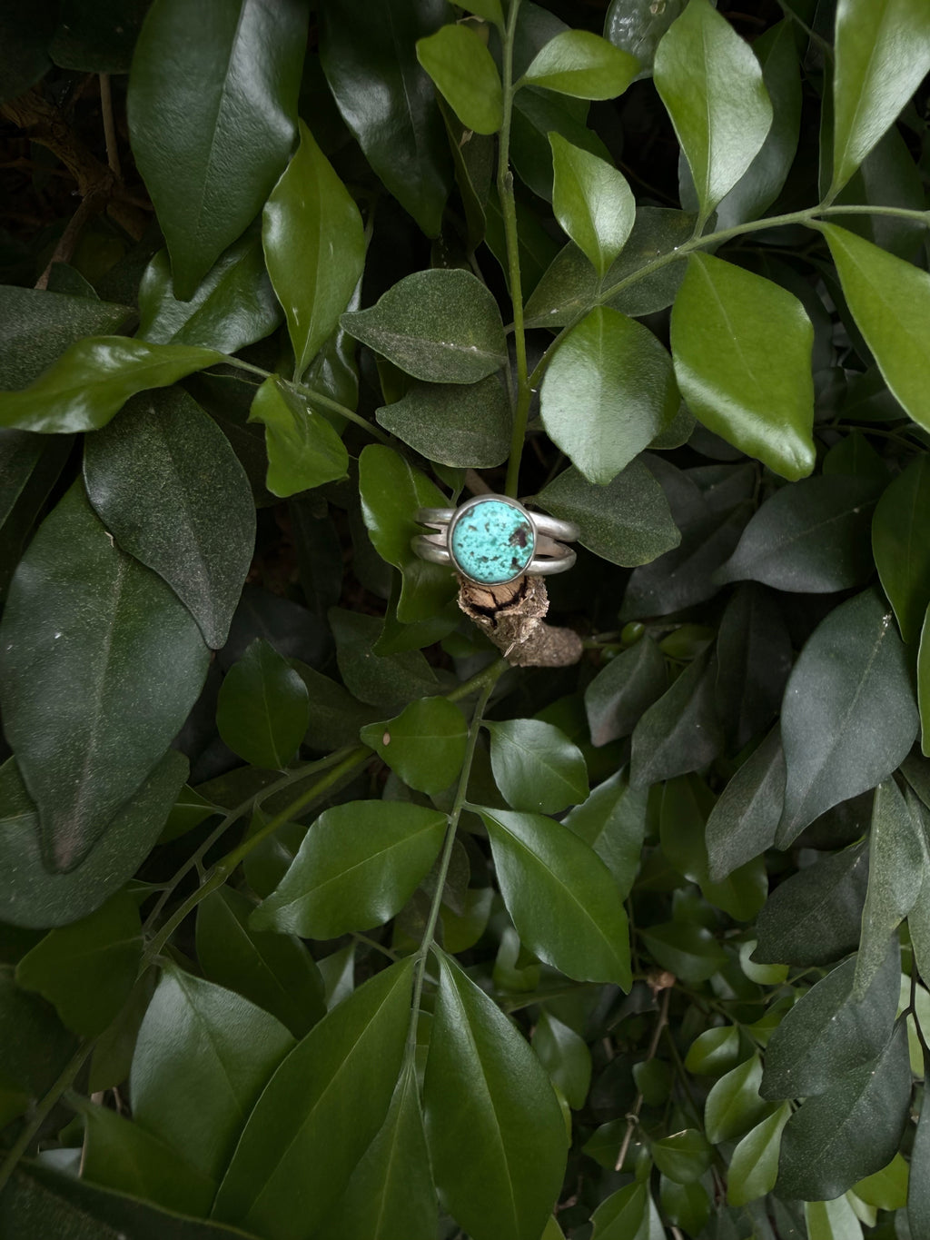 Twin Roots Ring