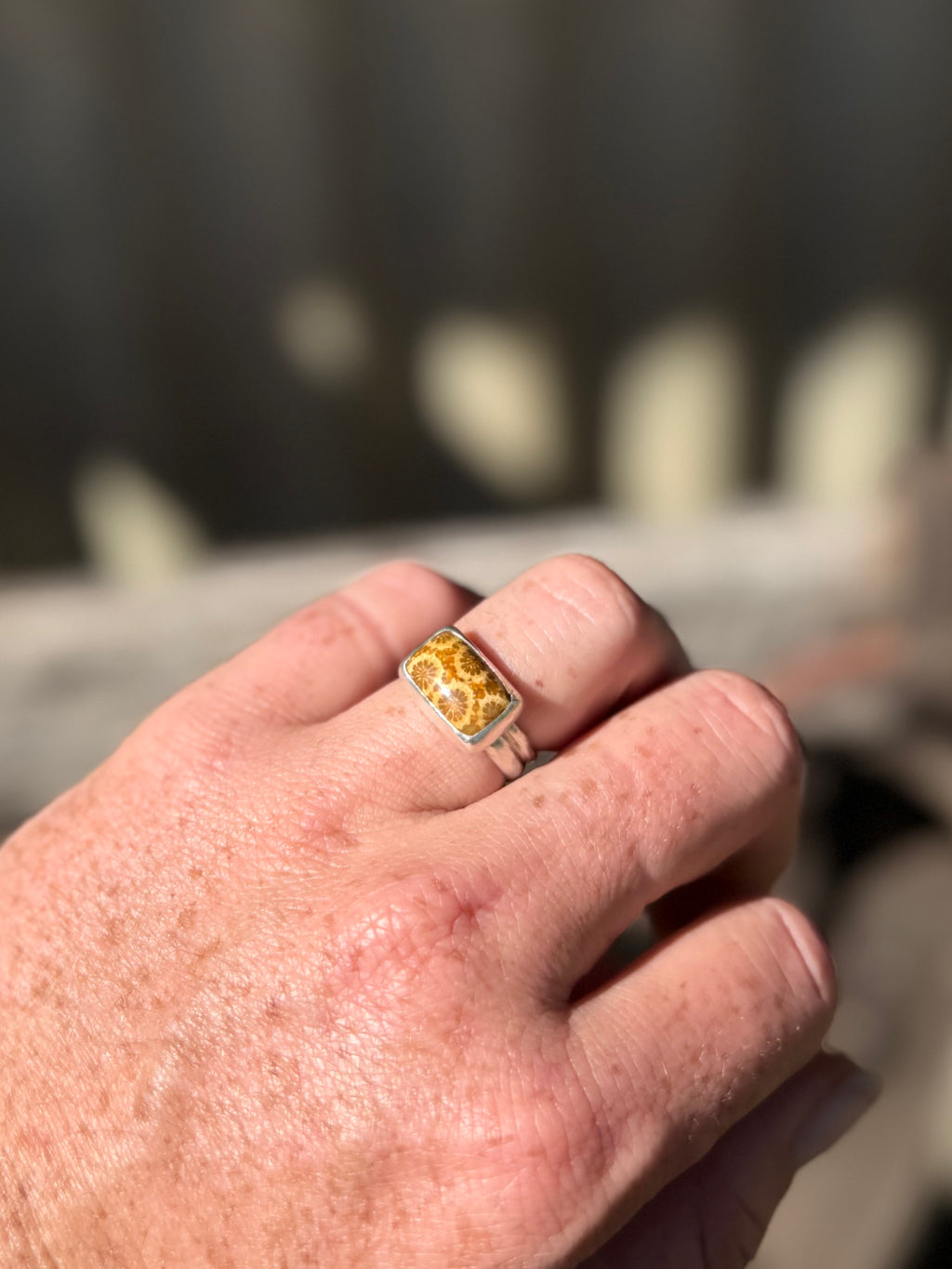 Double Band Fossilised Coral Ring
