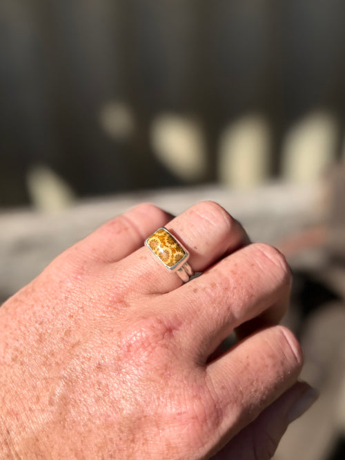 Double Band Fossilised Coral Ring