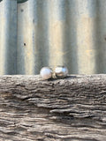 Pearl Studs