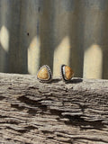 Twisted Fossilised Coral Studs
