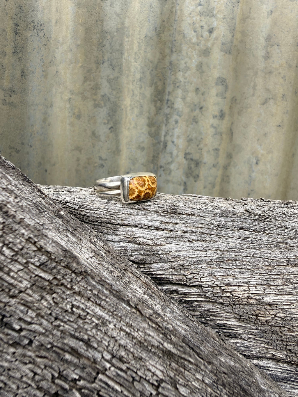 Double Band Fossilised Coral Ring