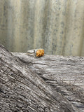 Double Band Fossilised Coral Ring