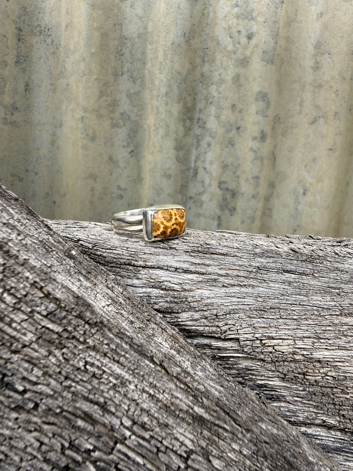 Double Band Fossilised Coral Ring