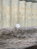 Operculum Shell Dainty Ring