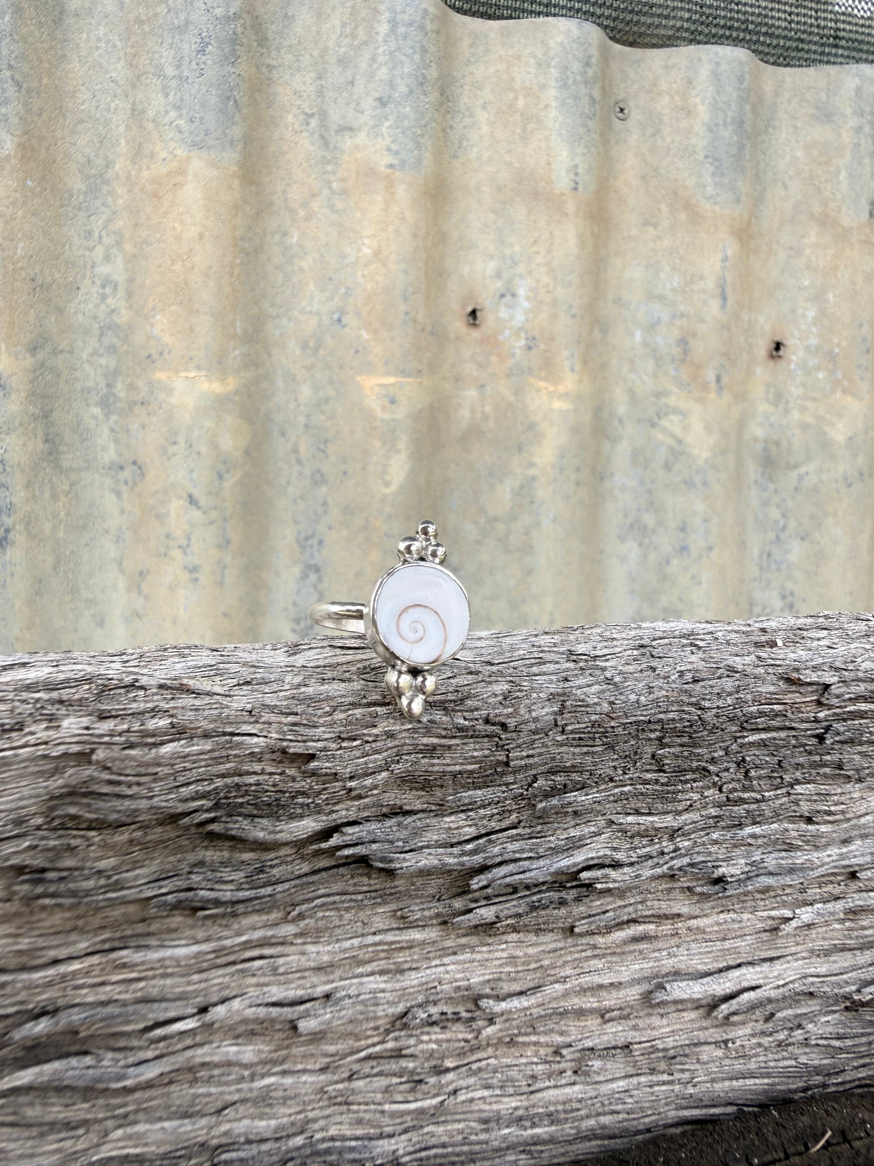 Operculum Shell Dainty Ring